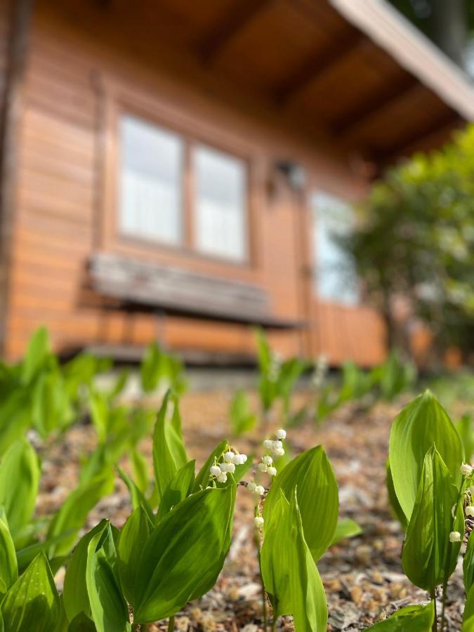 Forsthaus Langenberg Hotel Heringsdorf  Kültér fotó